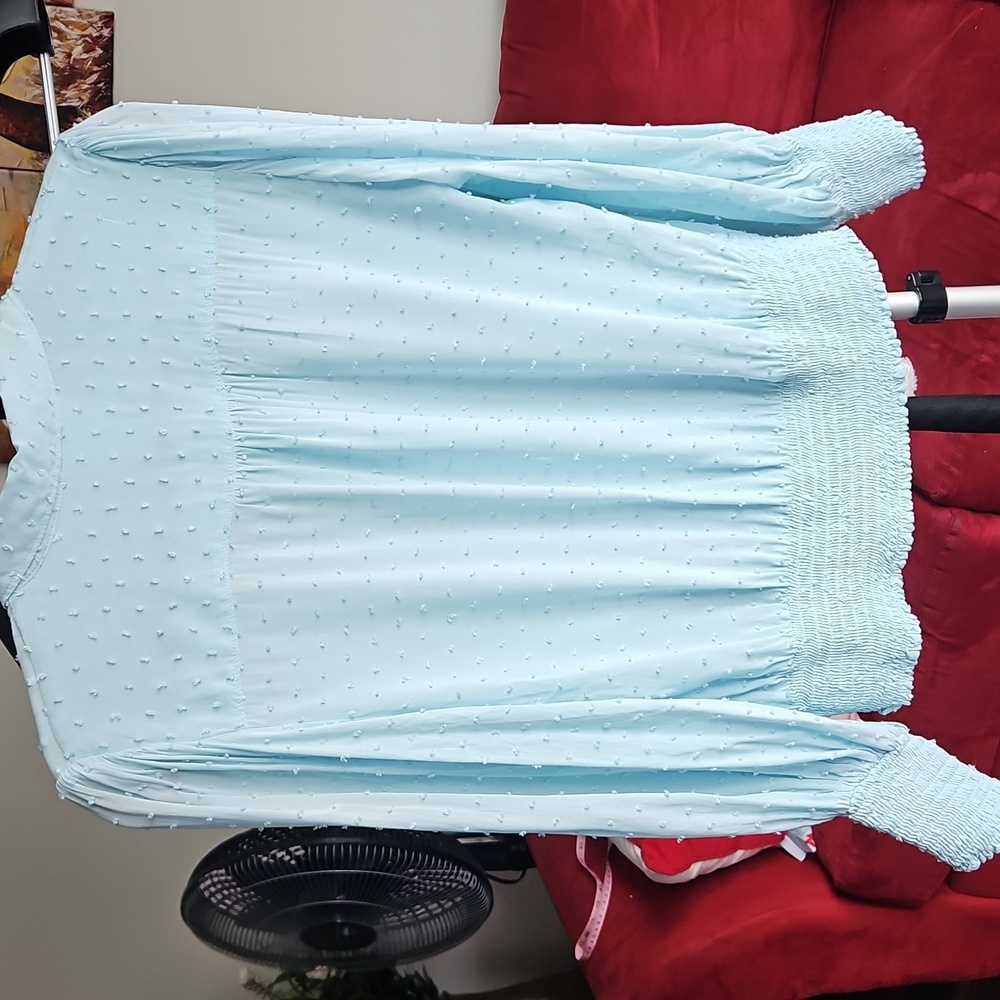 Anthropologie Maeve Blue Rosa Swiss Dot Blouse - Picture 3 of 7